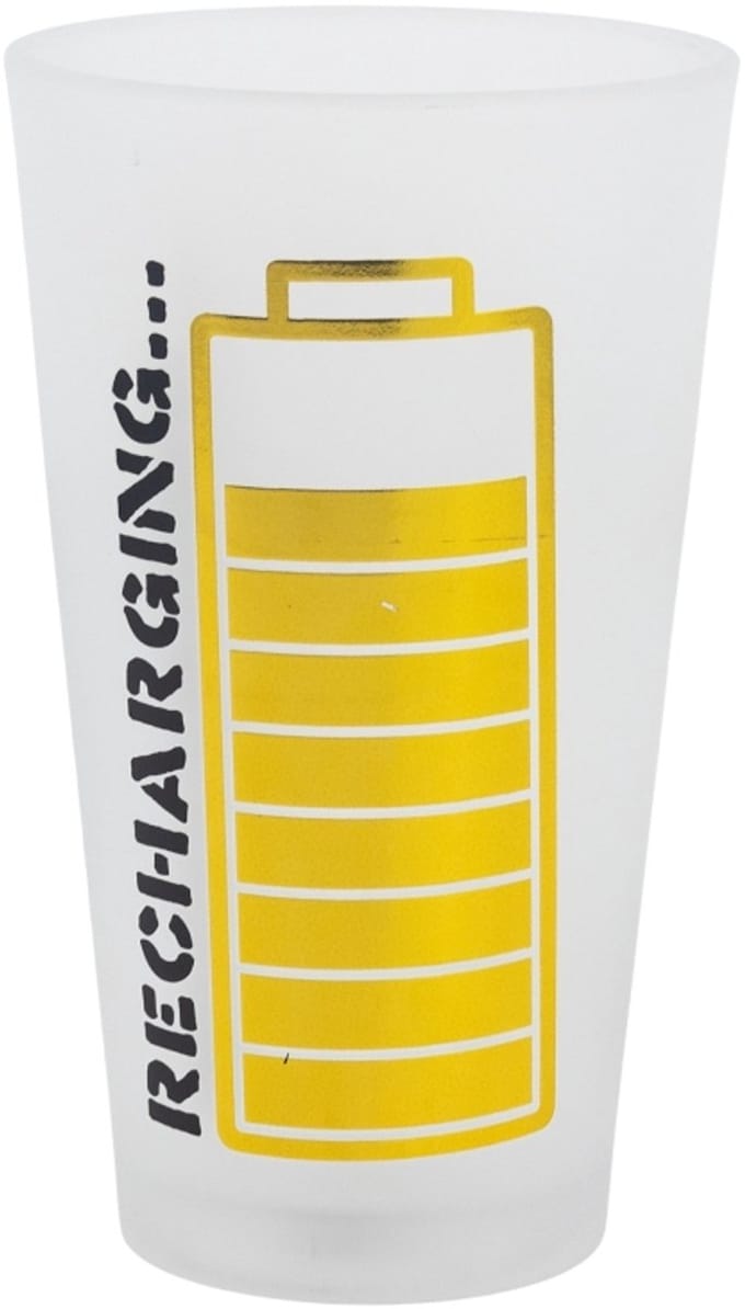 Pokemon glazen 2 stuks 480ml
