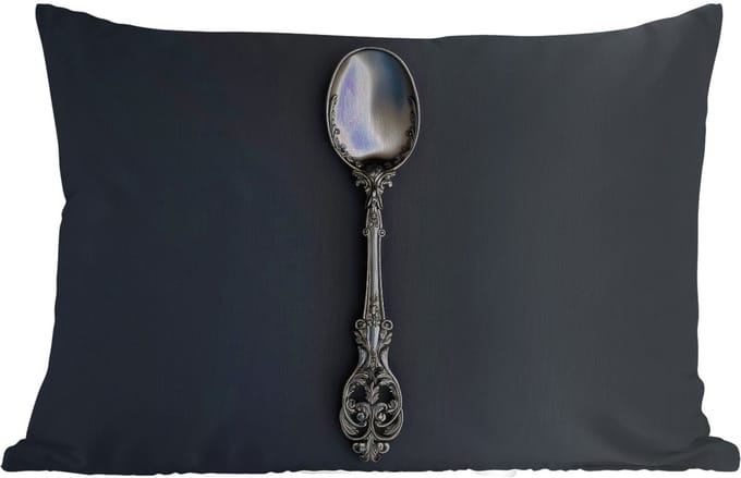 Buitenkussens - Lepel - Zilver - Metaal - 60x40 cm - Weerbestendig