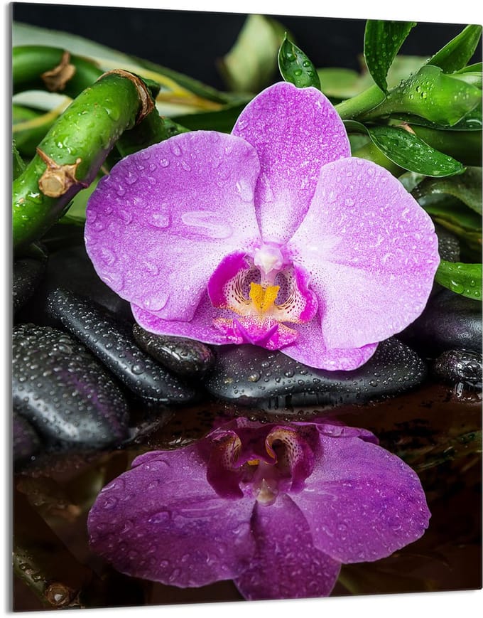 TMK ArtDeko Serie - Snijplank van glas - 40x52 cm - Orchidee - Hittebestendig