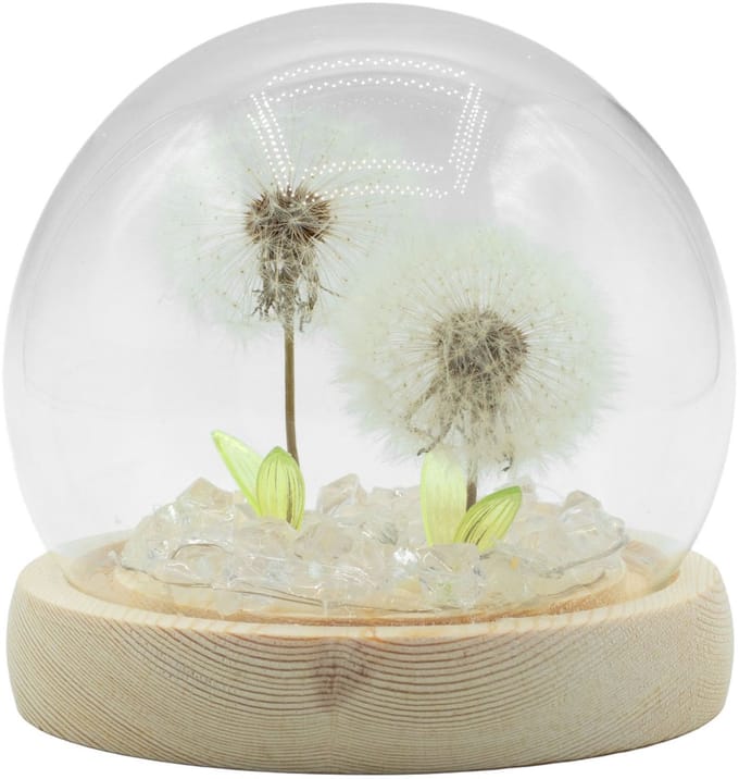 Bloemige Glow Tuinkoepel - 2 Paardenbloemen - LED USB