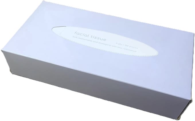HPG Papieren tissues/ Facial tissues - 100 stuks
