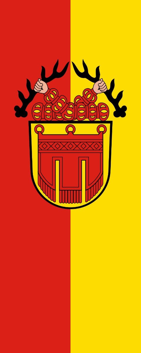 Vlag Tübingen 100x150cm