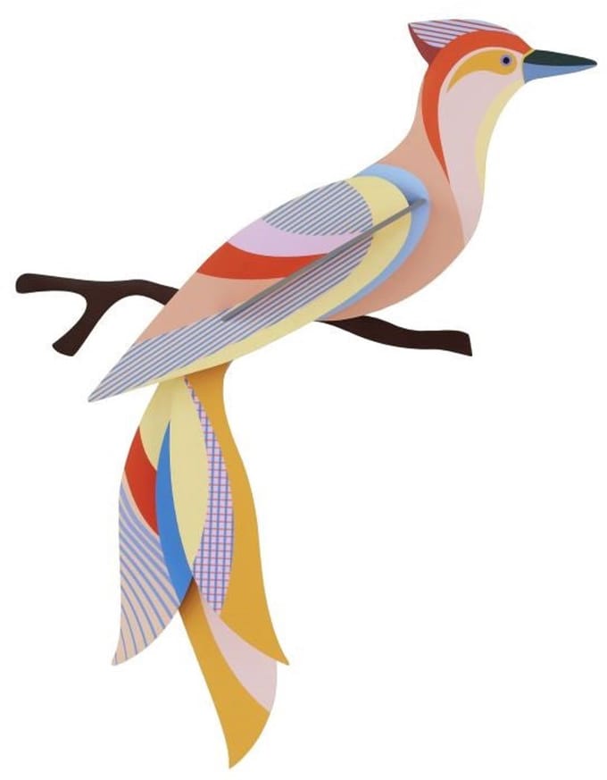 Paradise Bird - Sabah