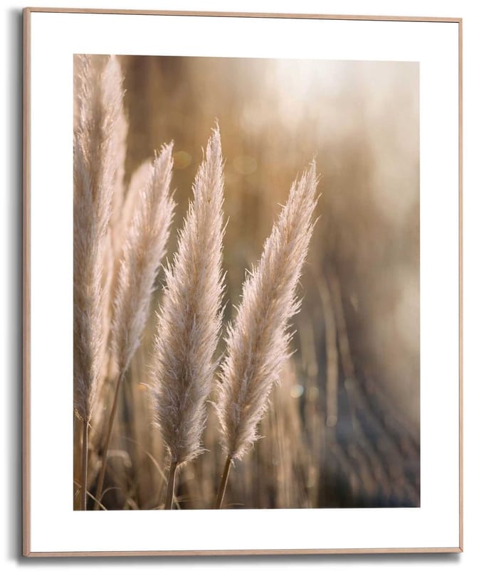 Schilderij Pampas - 50 x 40 - Hout - REINDERS
