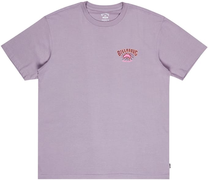 Billabong Origin T-shirt Met Korte Mouwen Paars S Man