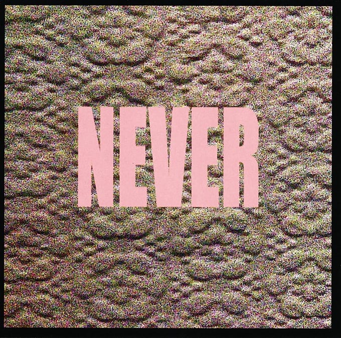 Micachu & The Shapes - Never (CD | LP)