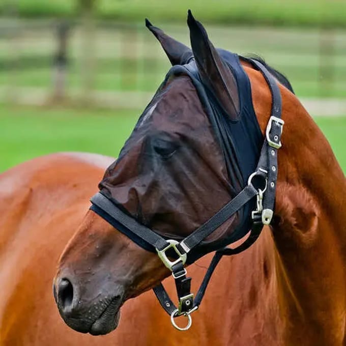 Paardenmuts met Anti-Vliegenmasker Horze