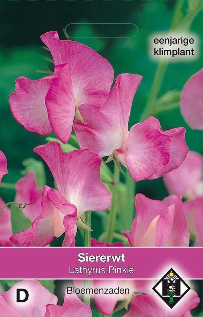 2 stuks Van Hemert & Co Lathyrus odoratus Pinkie