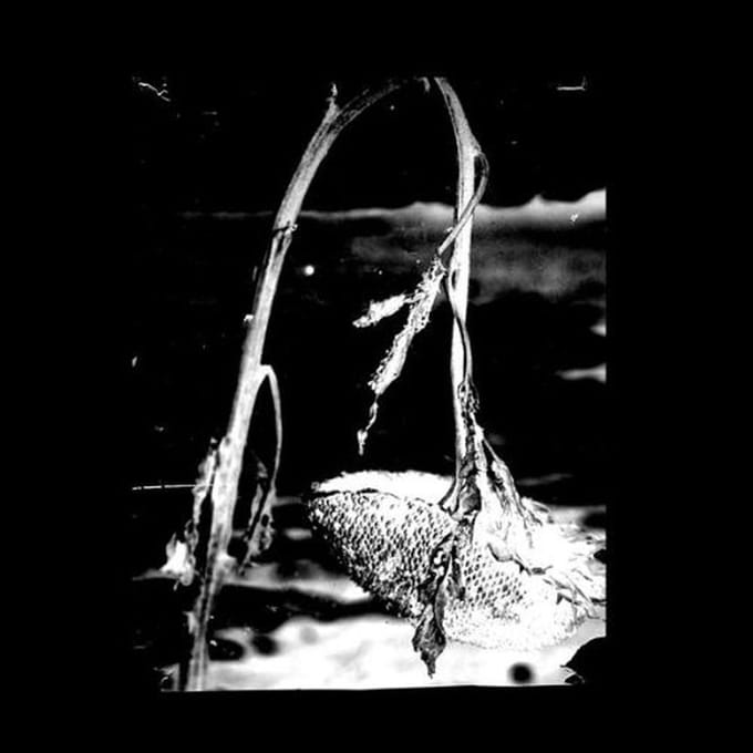 Pink Reason - Cleaning The Mirror (CD)
