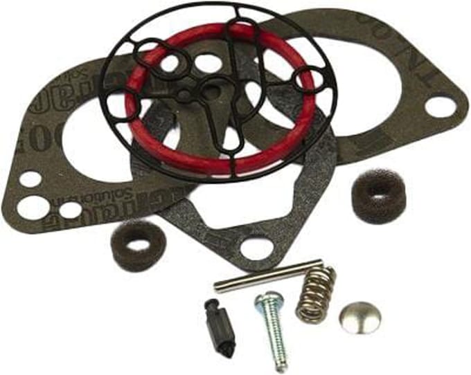 Briggs & stratton carburateur reparaties