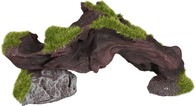 Flamingo - Aquariumdecoratie Kozma stronk met mos - Groen - 17 x 4 x 8 cm