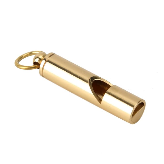 Aluminiumlegering Ultrasone Hond Vogels Trainingsfluit Gedragstrainer met Ring beige