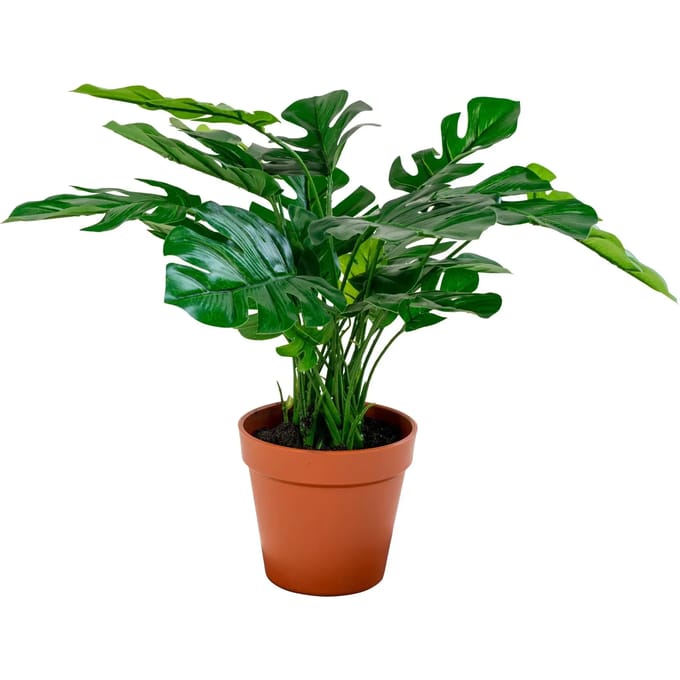 Kunstmatige plant House Nordic Monstera