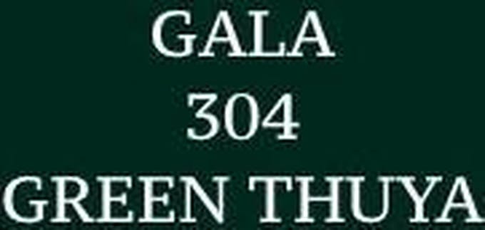 Gala Vert Thuya 304 Shoe Cream
