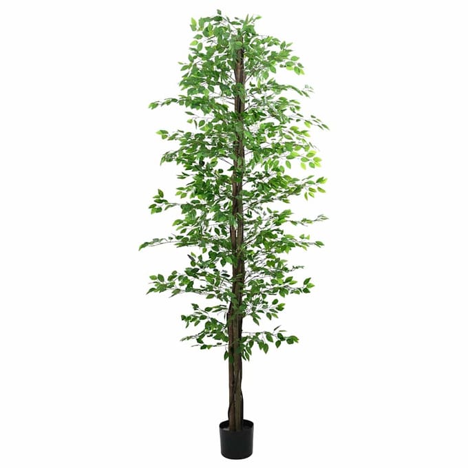 vidaXL - Kunst - Ficus - Plant - 2016 - Bladeren - 300 - cm - groen