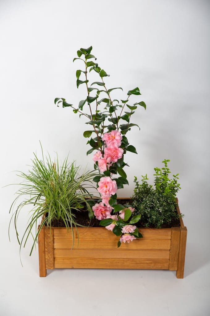 Houten Plantenbak rechthoek