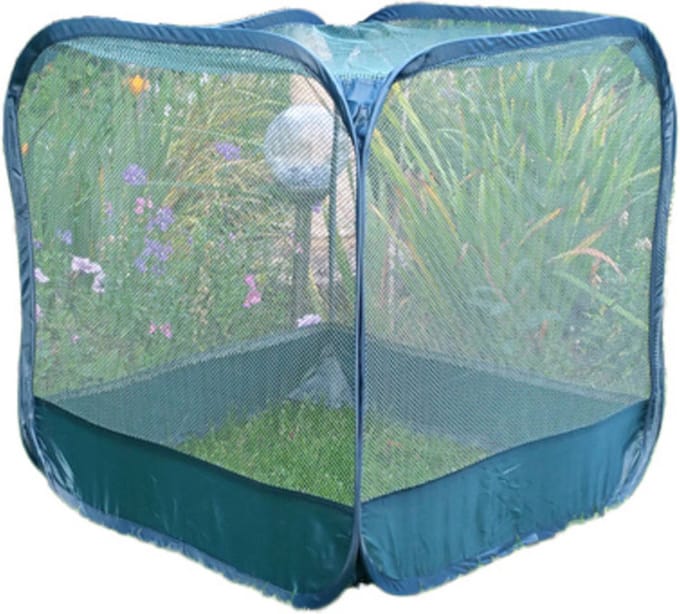 GardenSkill Pop up insectennet - Fruitkooi - 50 cm - Inclusief grondpennen
