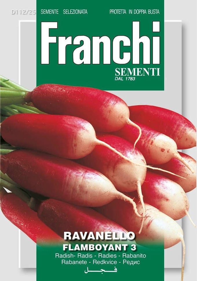 Franchi -  Radijs, Ravanello Flamboyant 3 112/25