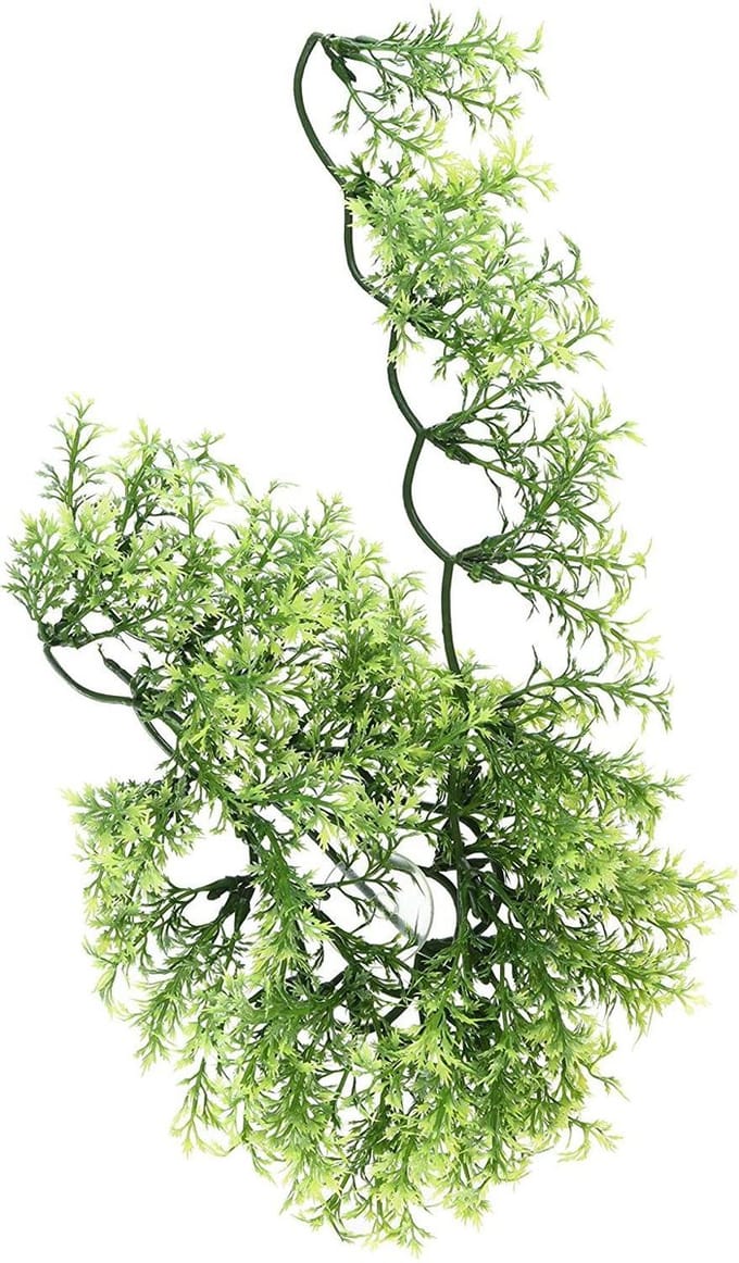 ZooMed - naturalistic flora - australian maple - small - terrariumplant