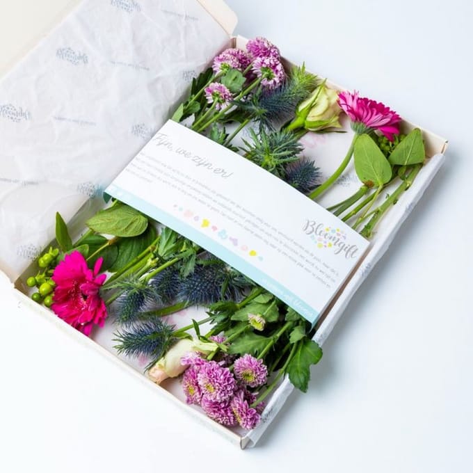 BloomKado | Paarse bloemen | Het brievenbus cadeau van Sinterklaas