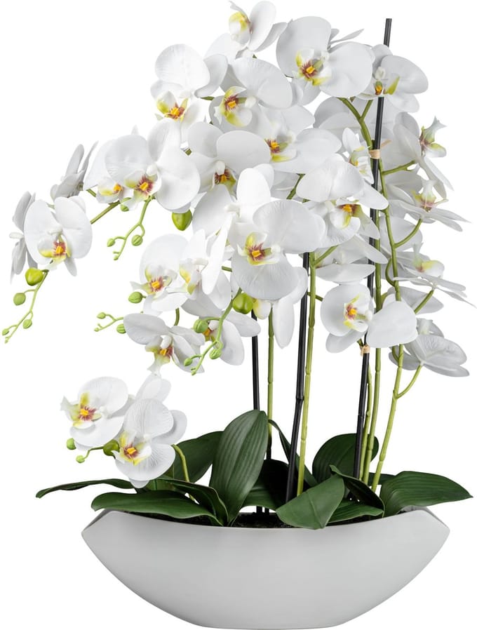 Kopu® Kunstbloem Orchidee 60 cm Wit met Schaal Ovaal - Phalenopsis