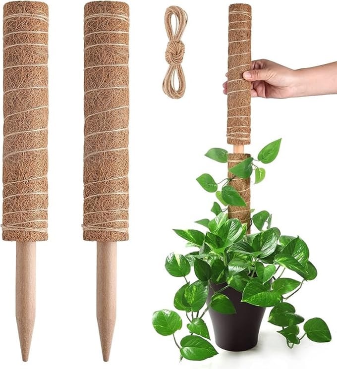 Uitschuifbare Mosstok voor Klimplanten - 2 Stuks