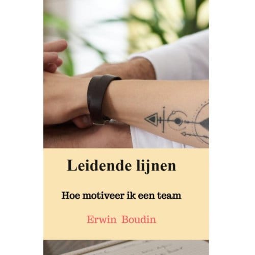 Leidende Lijnen - Erwin Boudin