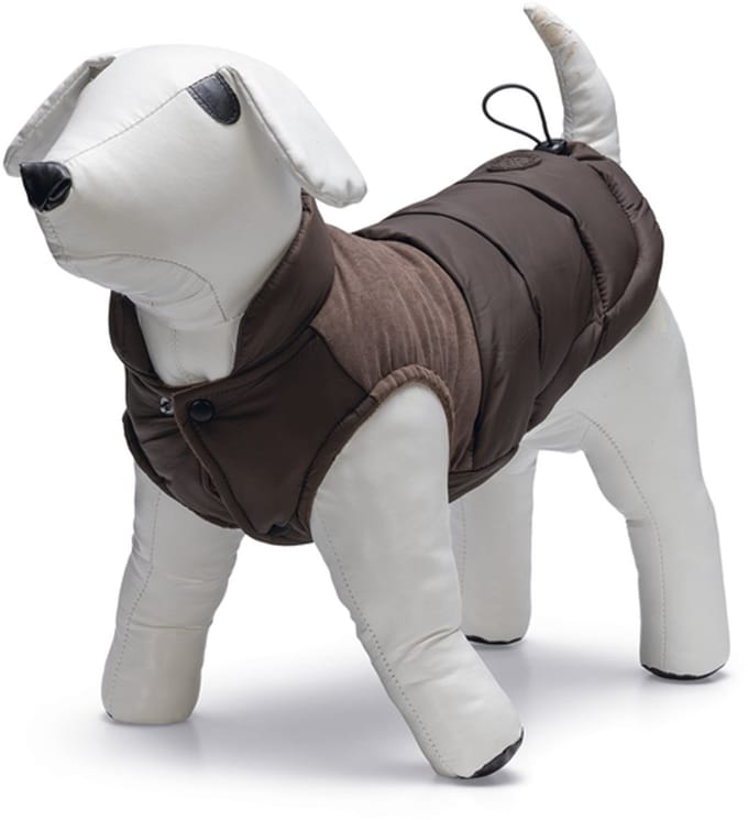 Beeztees Wisti - Hondenjas - Bruin - 24 cm