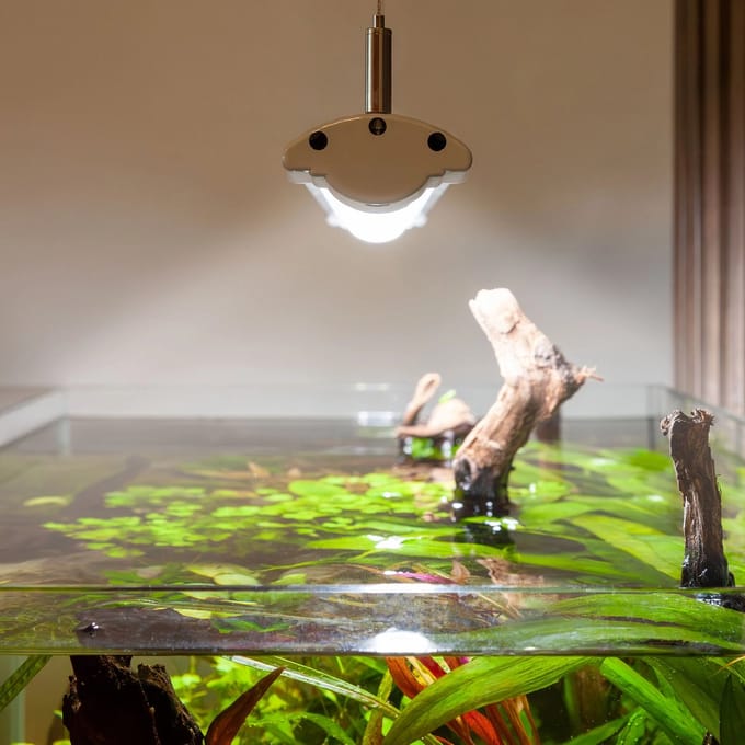 Aquatlantis EasyLED Universal Ultra - LED Verlichting incl. Controller