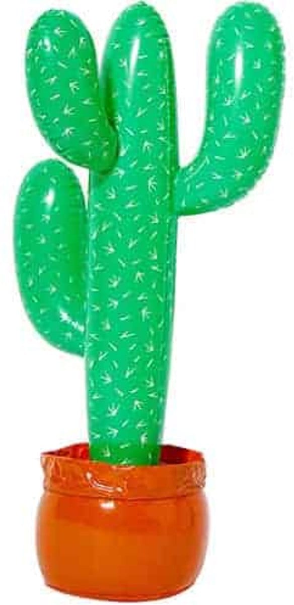 Folat - Opblaasbare cactus