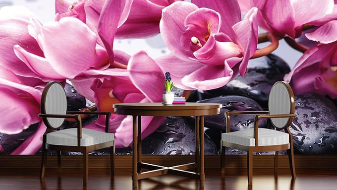 Flowers Orchids Stones Zen Photo Wallcovering
