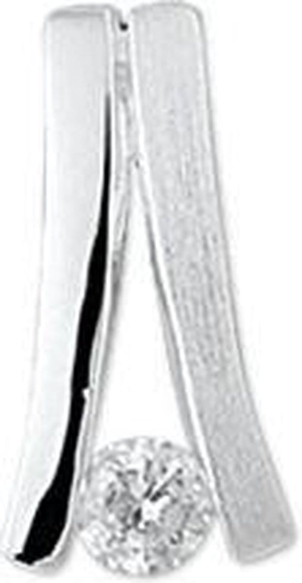 Zilveren Hanger zirkonia poli-mat - PSN1323053