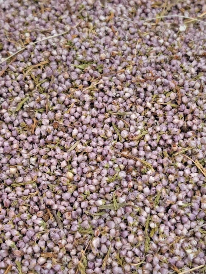 Struikheide (Calluna vulgaris) 100g