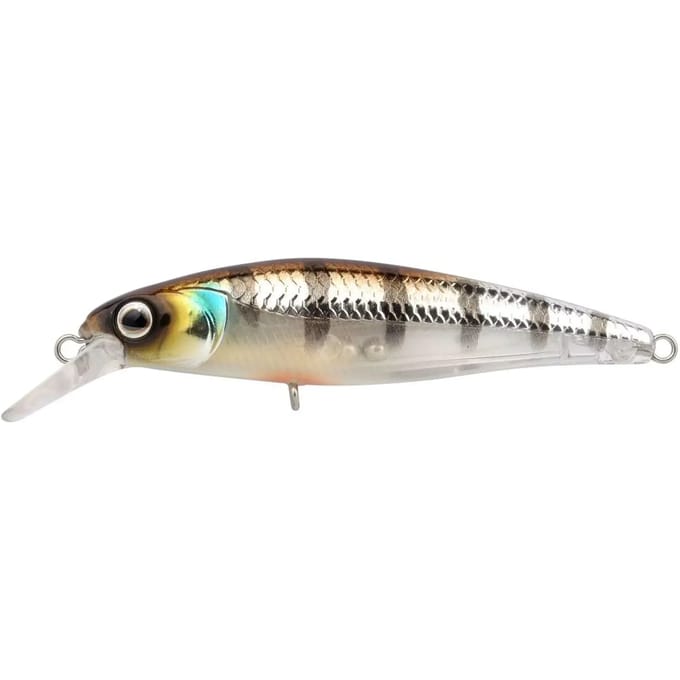 Lok Spro Ikiru Silent Jerk SLS 65