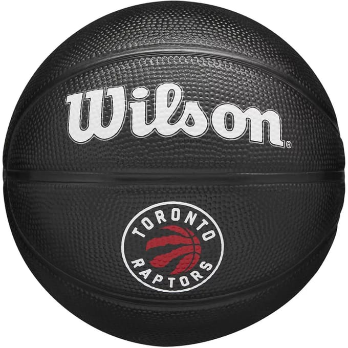 Mini Bal nba Toronto Raptors