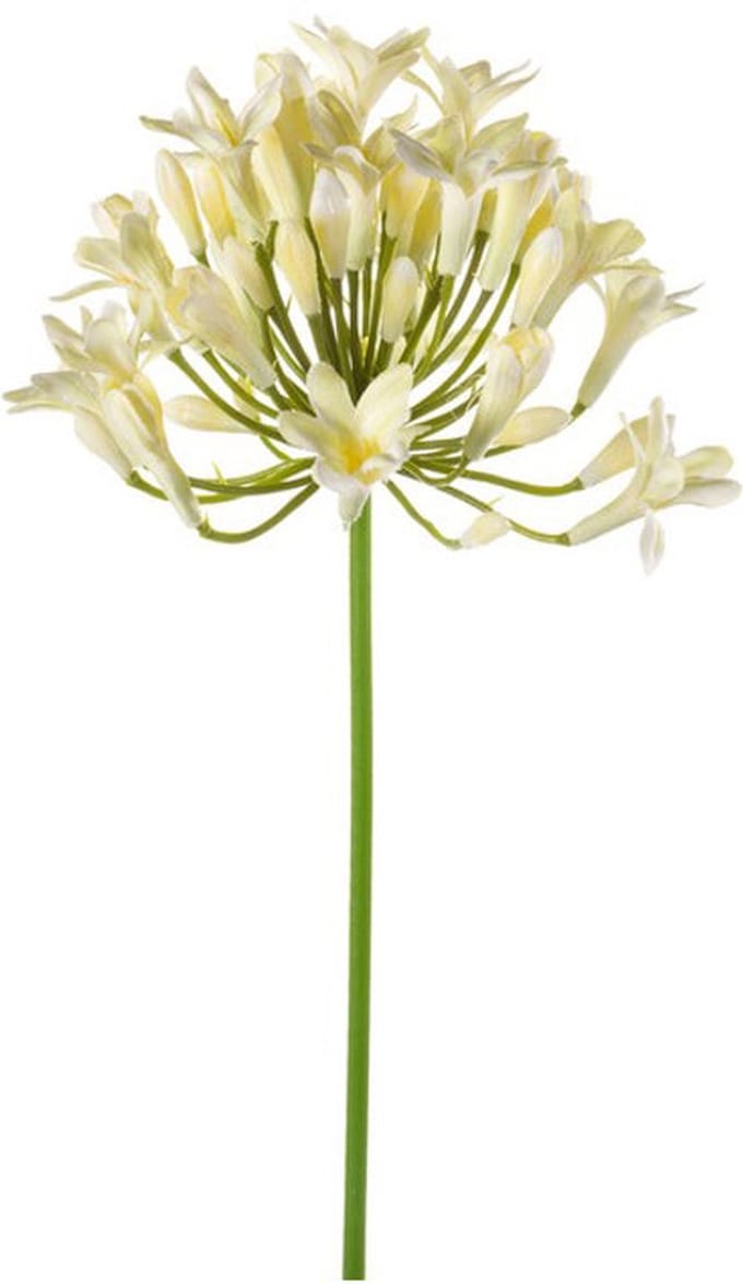 Emerald - Kunstbloem Agapanthus 75cm wit - Kunstplant voor binnen