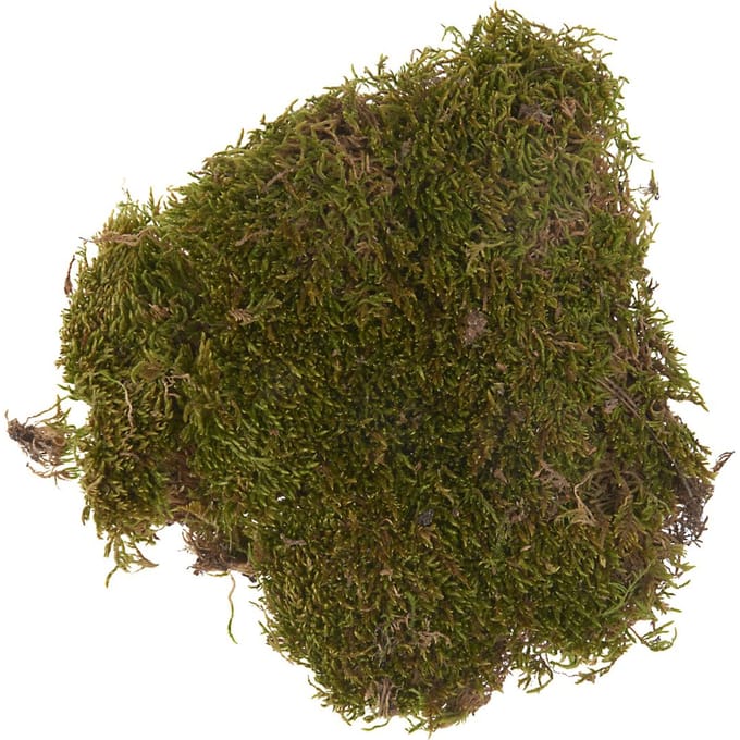 Plaatmos, 50 g