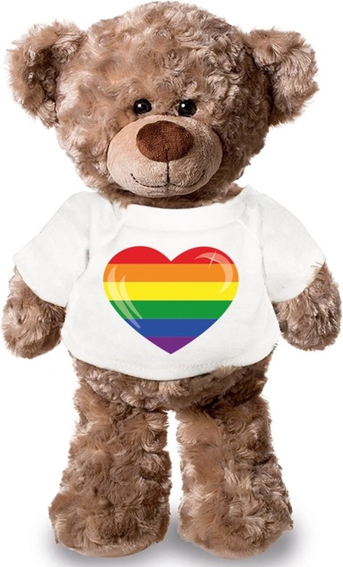 Knuffel teddybeer - gaypride - 24 cm - pluche - met shirt - lgbtqi