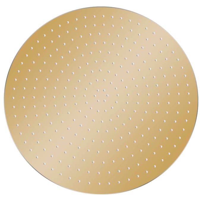 vidaXL - Regendouchekop - rond - 40 - cm - roestvrij - staal - goudkleurig