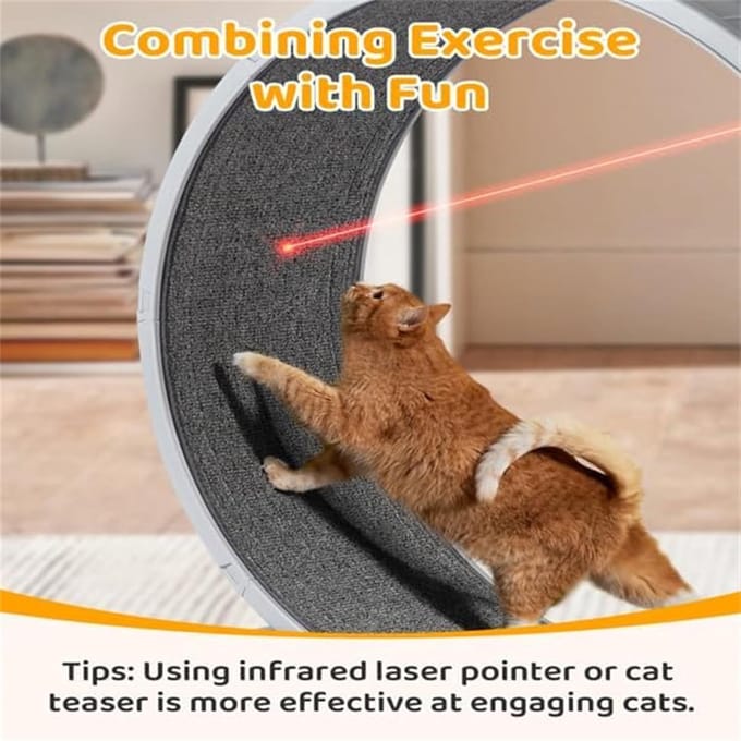 Kattenloopfiets - Loopband Kat - Fitness en Training - Super Stil - 80 cm - Grijs