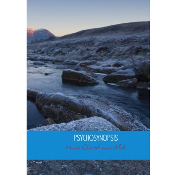 Psychosynopsis - Hans Christiaan Mol