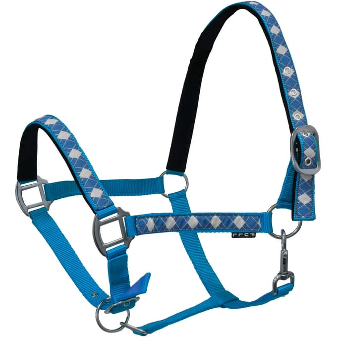 Halster voor paarden York Kimi