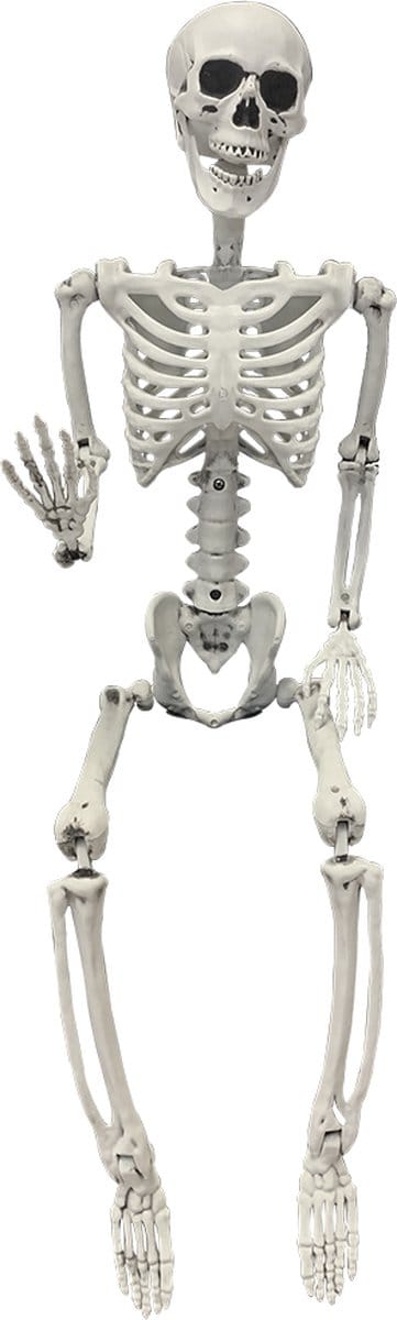 Fjesta© Halloween skelet - 90cm