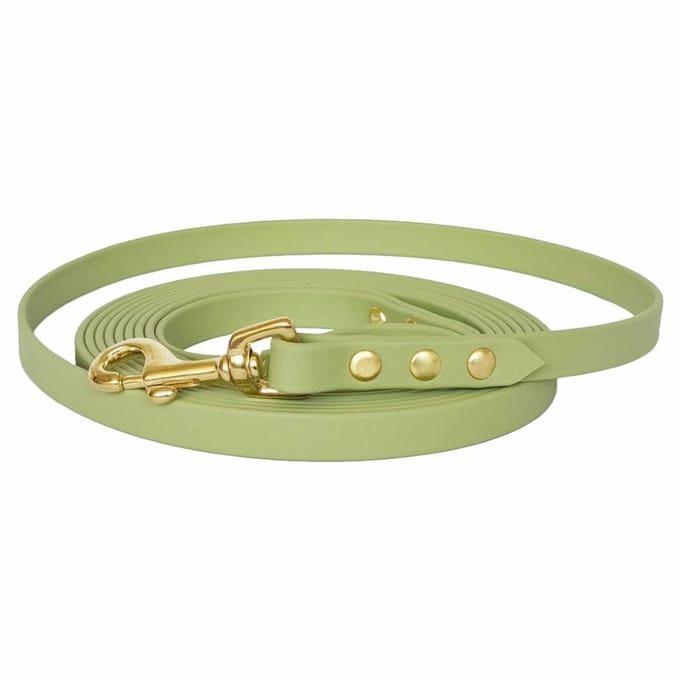Hondenriem - BioThane® - Guacamole - 10 meter - 13mm - Kleine hond
