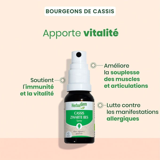 HerbalGem Zwarte Bes Bio | Gewrichten & Spieren 15 Spray