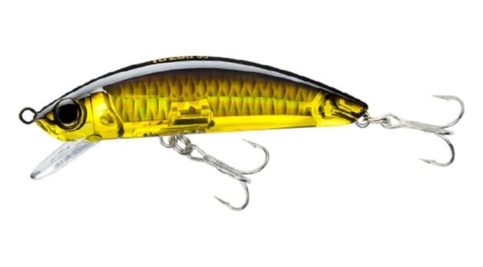 Yo Zuri Duel 3D Inshore Minnow 110 drijvend kunstaas R1213-HGBL (3501)