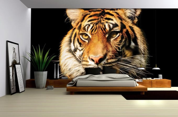 Tiger Photo Wallcovering