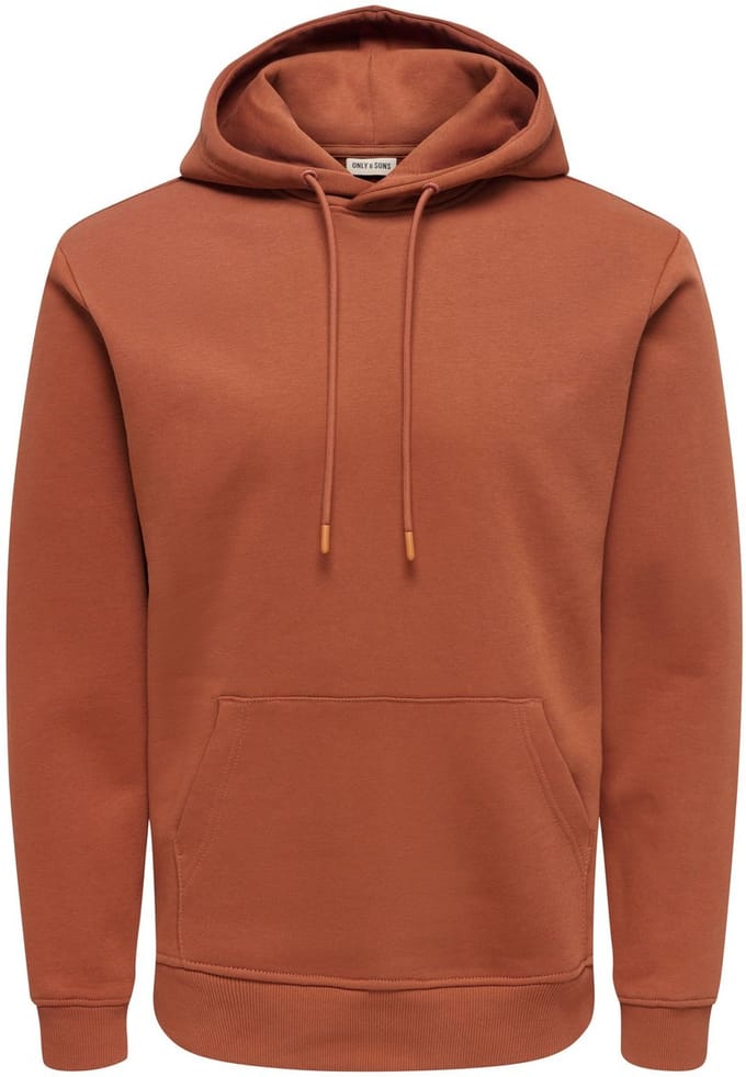 ONLY&SONS - ONSCONNOR LIFE REG SWEAT HOODIE NOOS - Heren - Sweaters