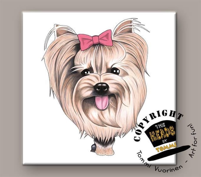 Tegel Hond Yorkshire Terrier
