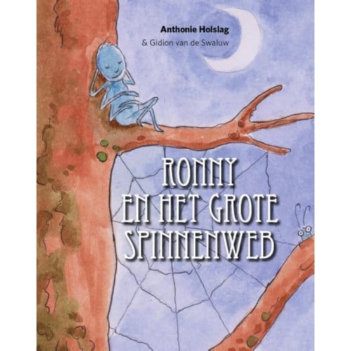 Ronny En Het Grote Spinnenweb - Anthonie Holslag